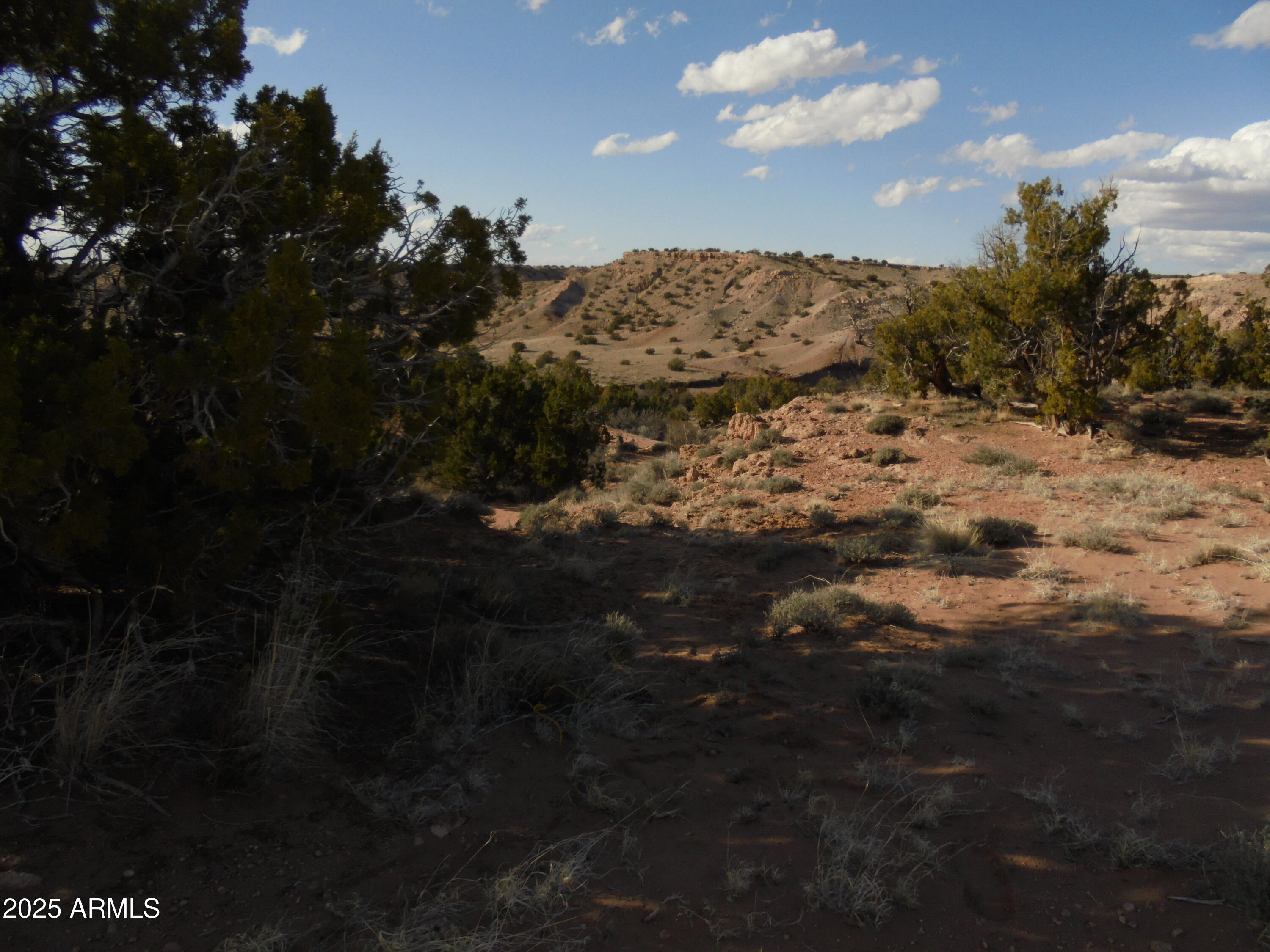 150 North County Road St. Johns, AZ 85936 - Photo 10 of 10 E side of 011 ravine