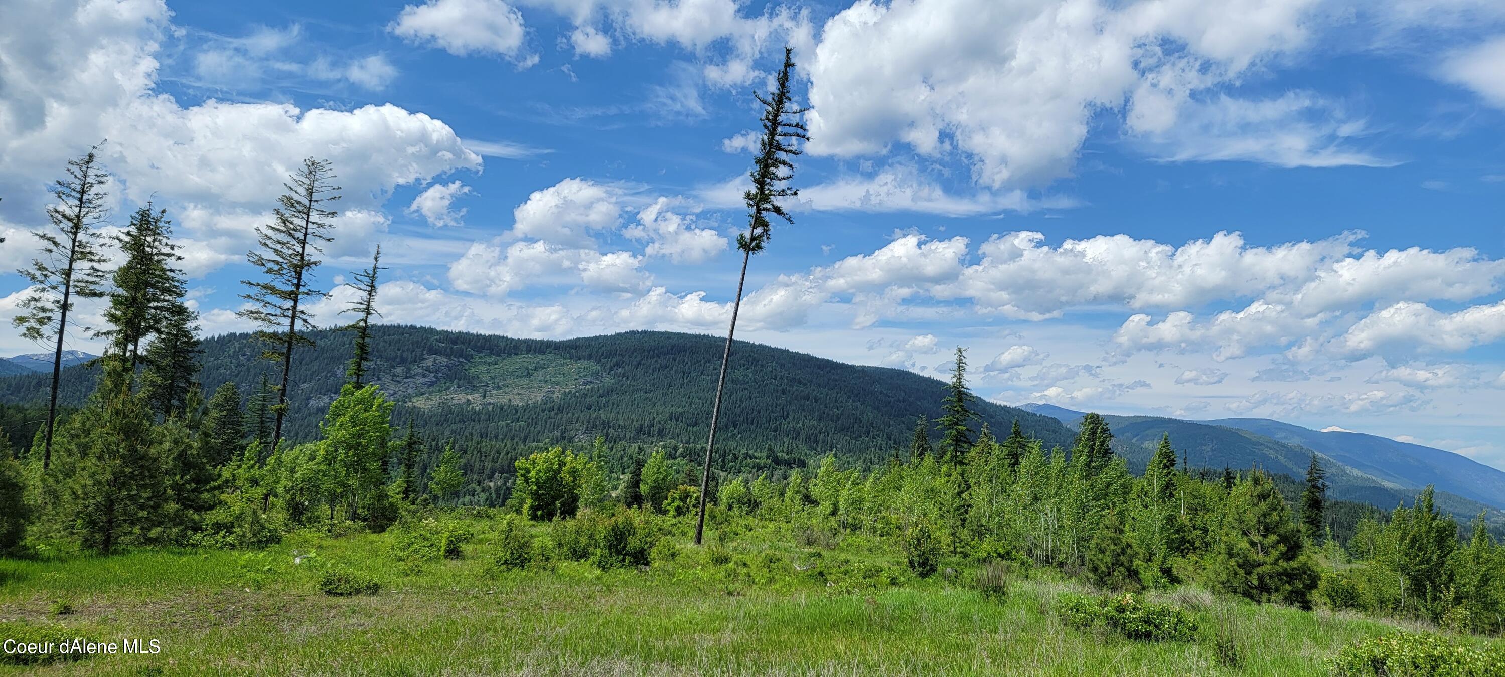 6 Bonners Ferry Naples, ID 83847 - Photo 10 of 22 North West View