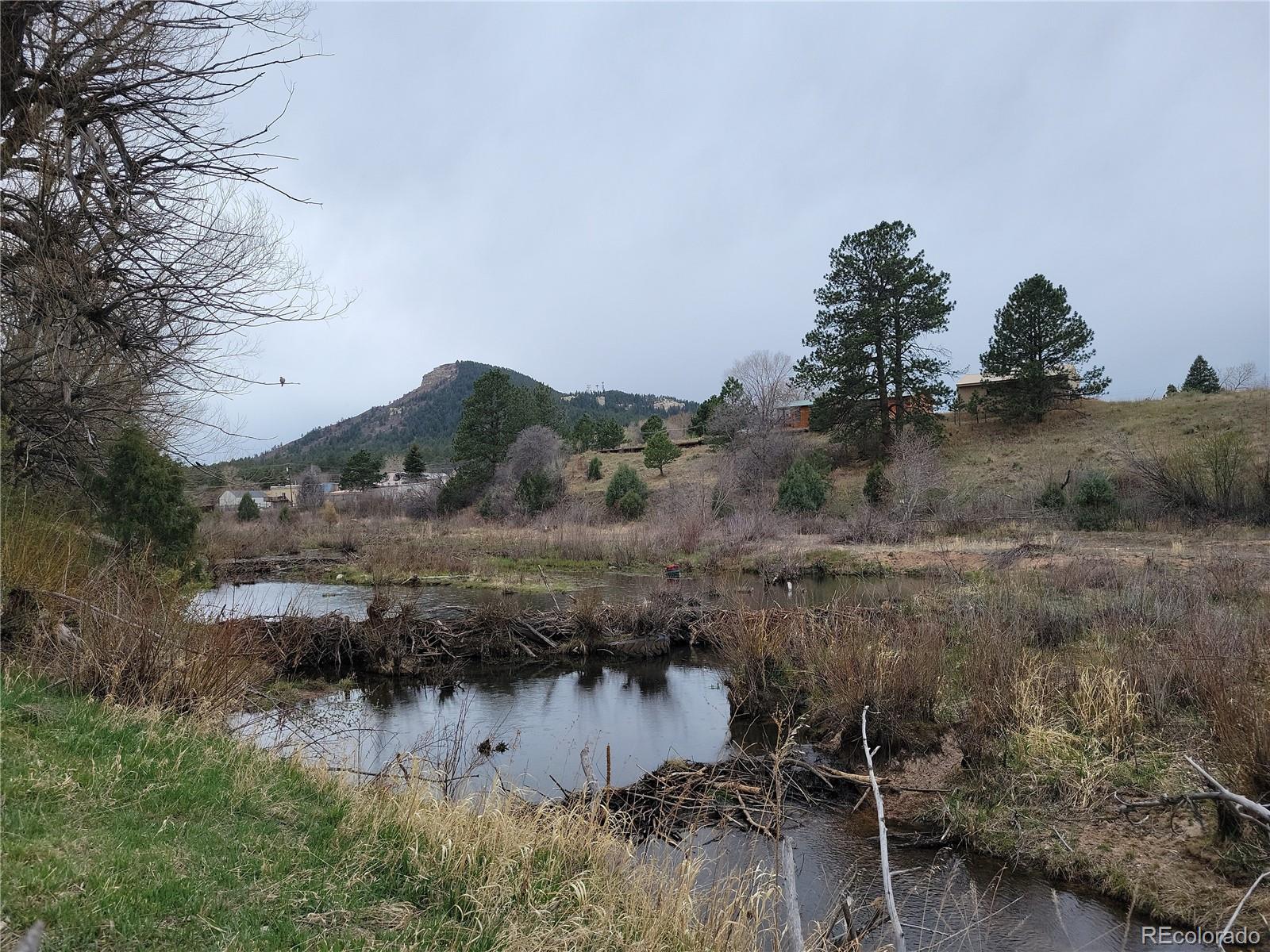 9071 South Frink Road Larkspur, CO 80118 - Photo 22 of 28