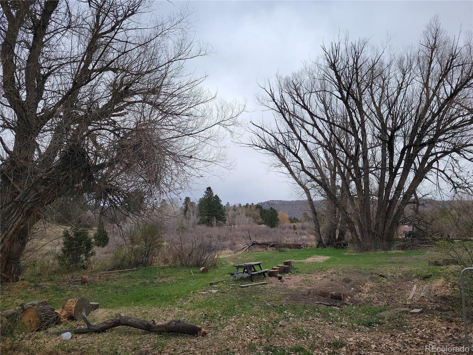 9071 South Frink Road Larkspur, CO 80118 - Photo 23 of 28