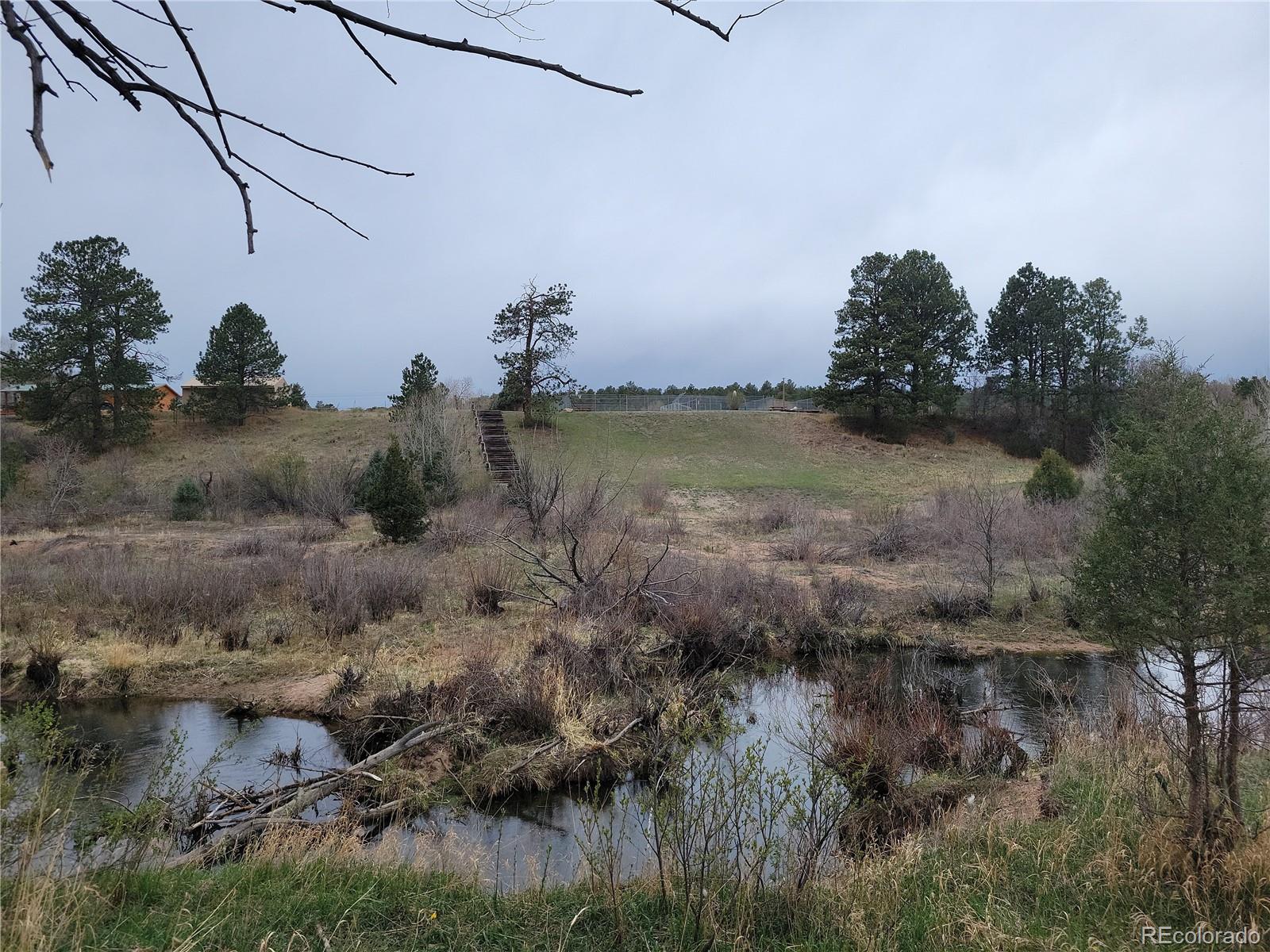 9071 South Frink Road Larkspur, CO 80118 - Photo 24 of 28
