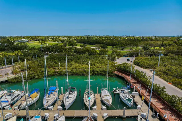 an aerial view of a house with a lake view