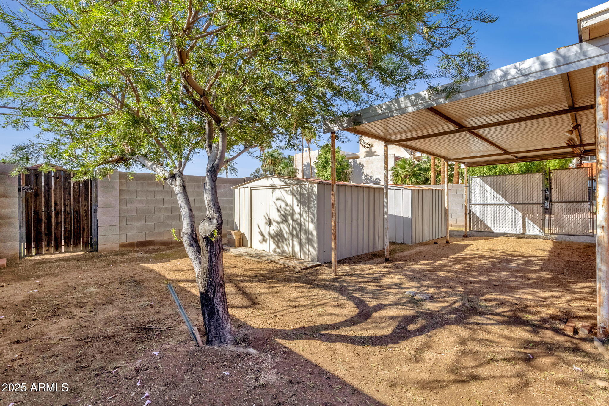 343 West Montecito Avenue Phoenix, AZ 85013 - Photo 34 of 39 a view of a backyard with a tree