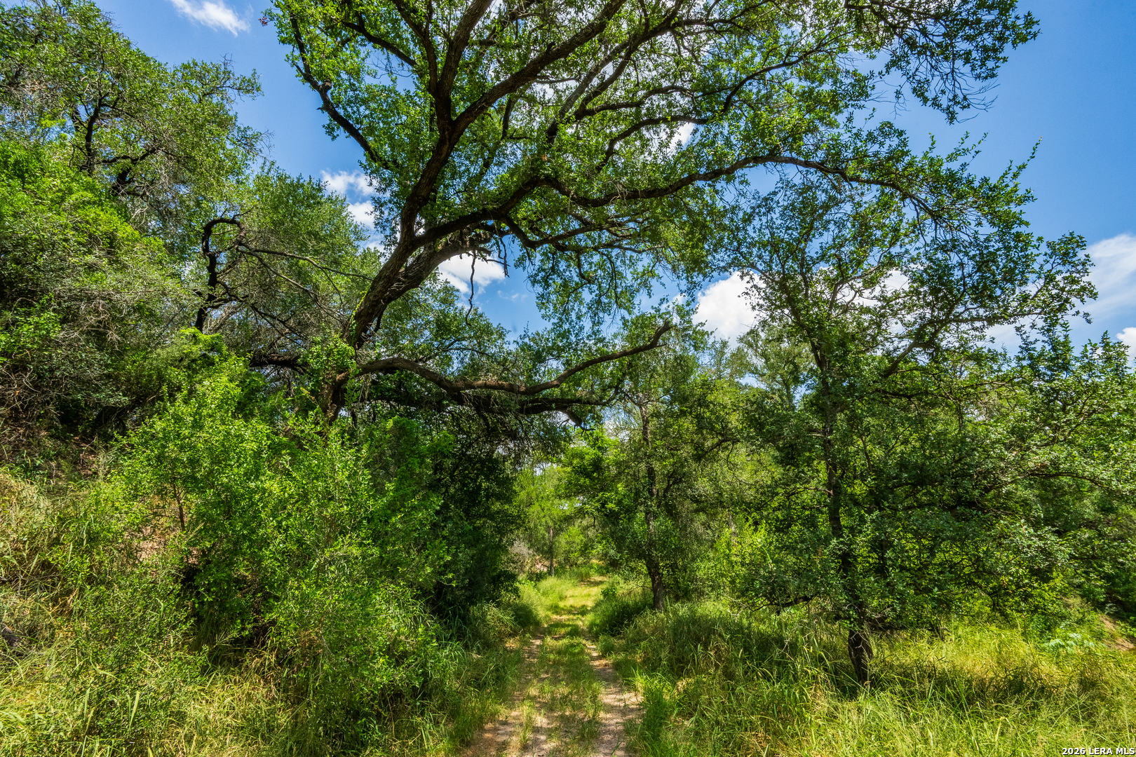 994 Marburger Road Crystal City, TX 78839 - Photo 19 of 52 Gallery Image 19