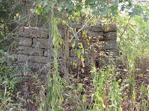 470 Gritton Road Salvisa, KY 40372 - Photo 58 of 96 Photo 60