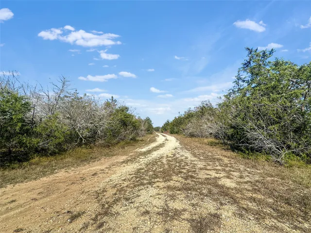 a view of a field of grass and trees