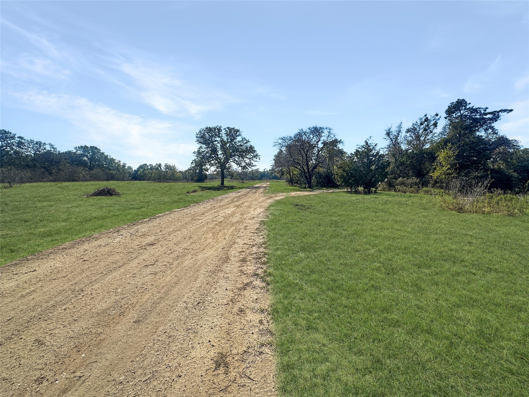 2845 Boehnke Road Muldoon, TX 78949 - Photo 14 of 14 a view of a field of grass and trees