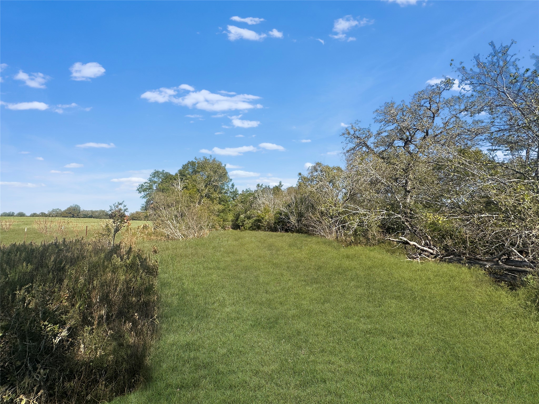 2845 Boehnke Road Muldoon, TX 78949 - Photo 4 of 14 a view of a field with an ocean