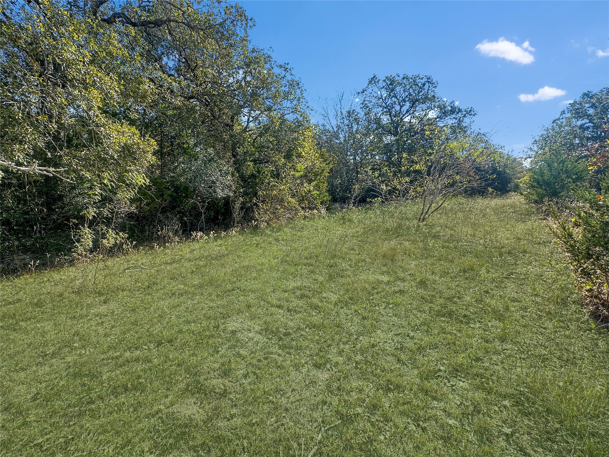 2845 Boehnke Road Muldoon, TX 78949 - Photo 7 of 14 a big yard with lots of green space and deers