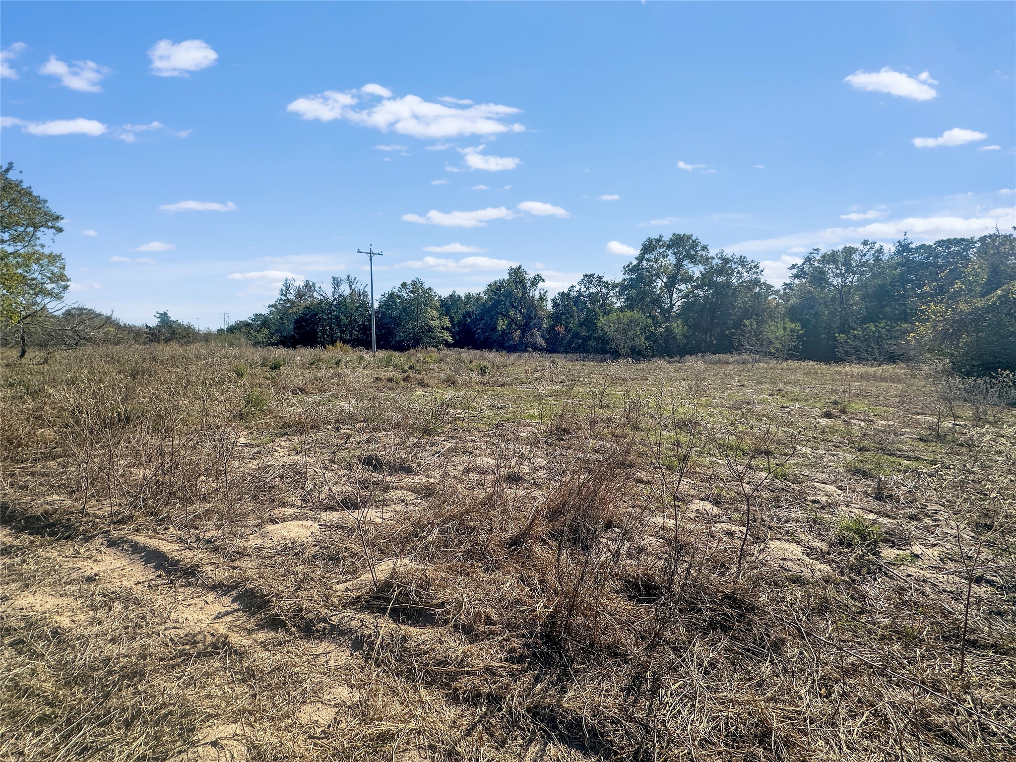 2845 Boehnke Road Muldoon, TX 78949 - Photo 9 of 14 a view of an outdoor space and yard