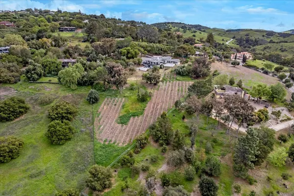 a view of a patio with table and chairs potted plants and large tree