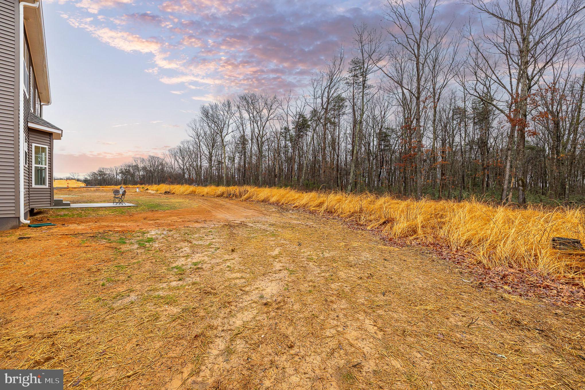 29332 Old Rhoadesville, VA 22542 - Photo 35 of 40 Level and private acreage, back to trees.