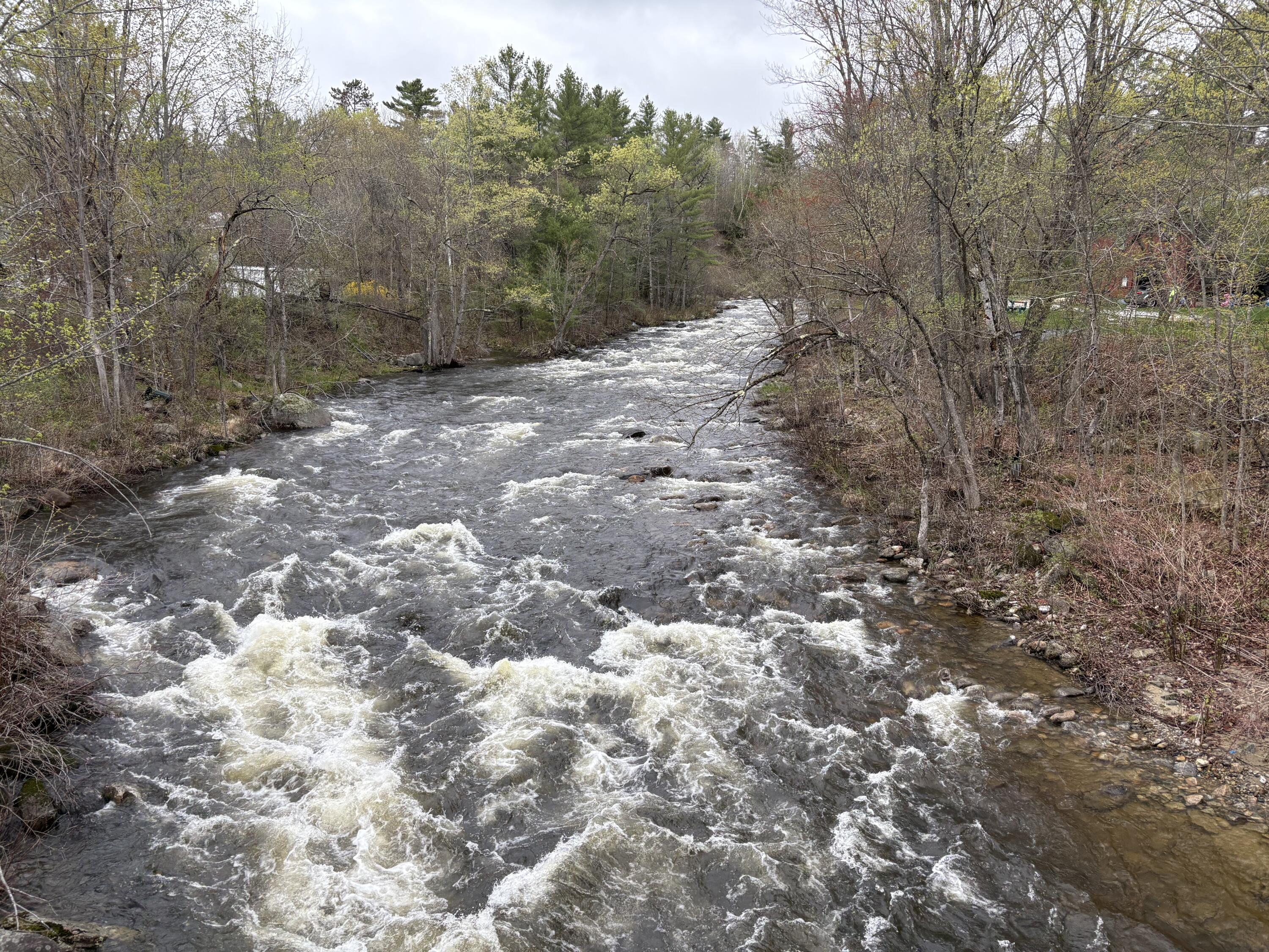 43 Berry Mills Road Carthage, ME 04224 - Photo 17 of 18 IMG_7010