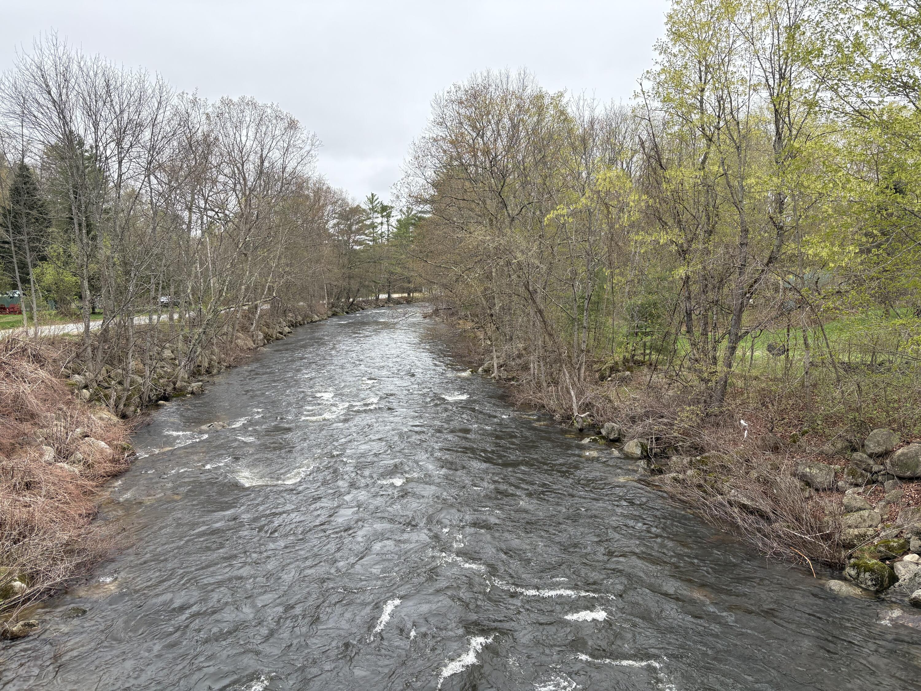 43 Berry Mills Road Carthage, ME 04224 - Photo 18 of 18 IMG_7011