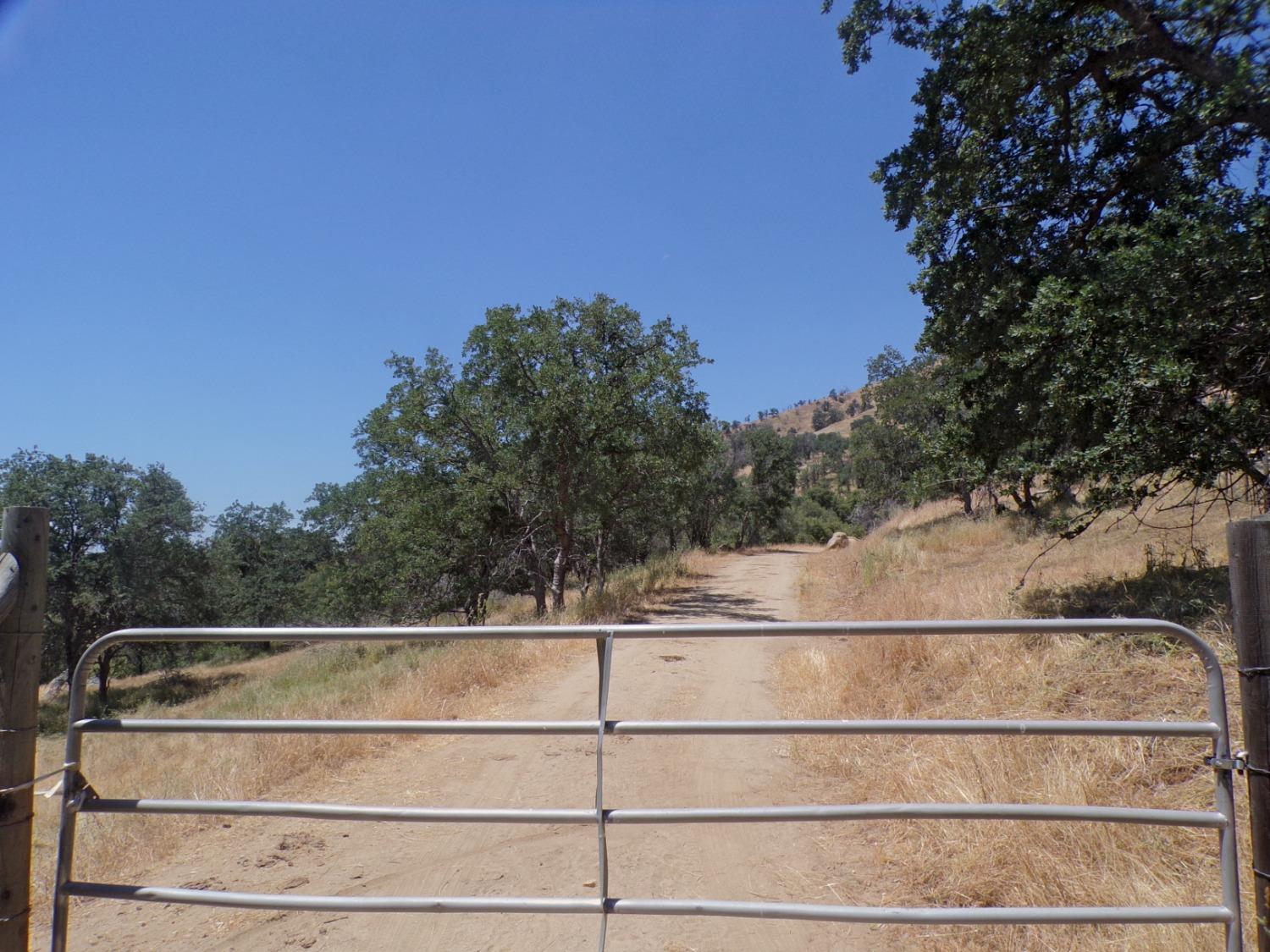 0 Hopewell Road Squaw Valley, CA 93675 - Photo 1 of 16 Gallery Image 1