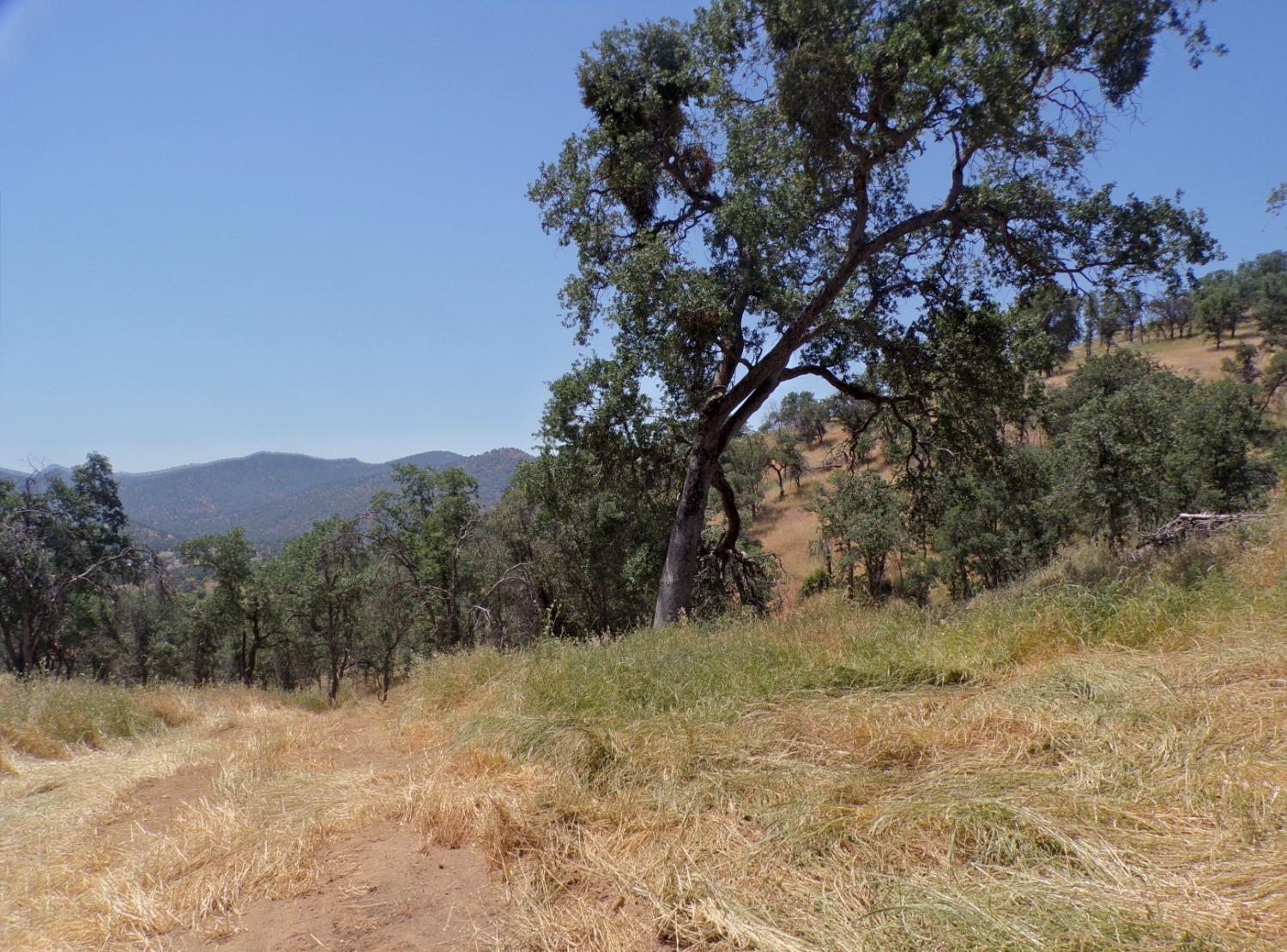 0 Hopewell Road Squaw Valley, CA 93675 - Photo 12 of 16 Gallery Image 12
