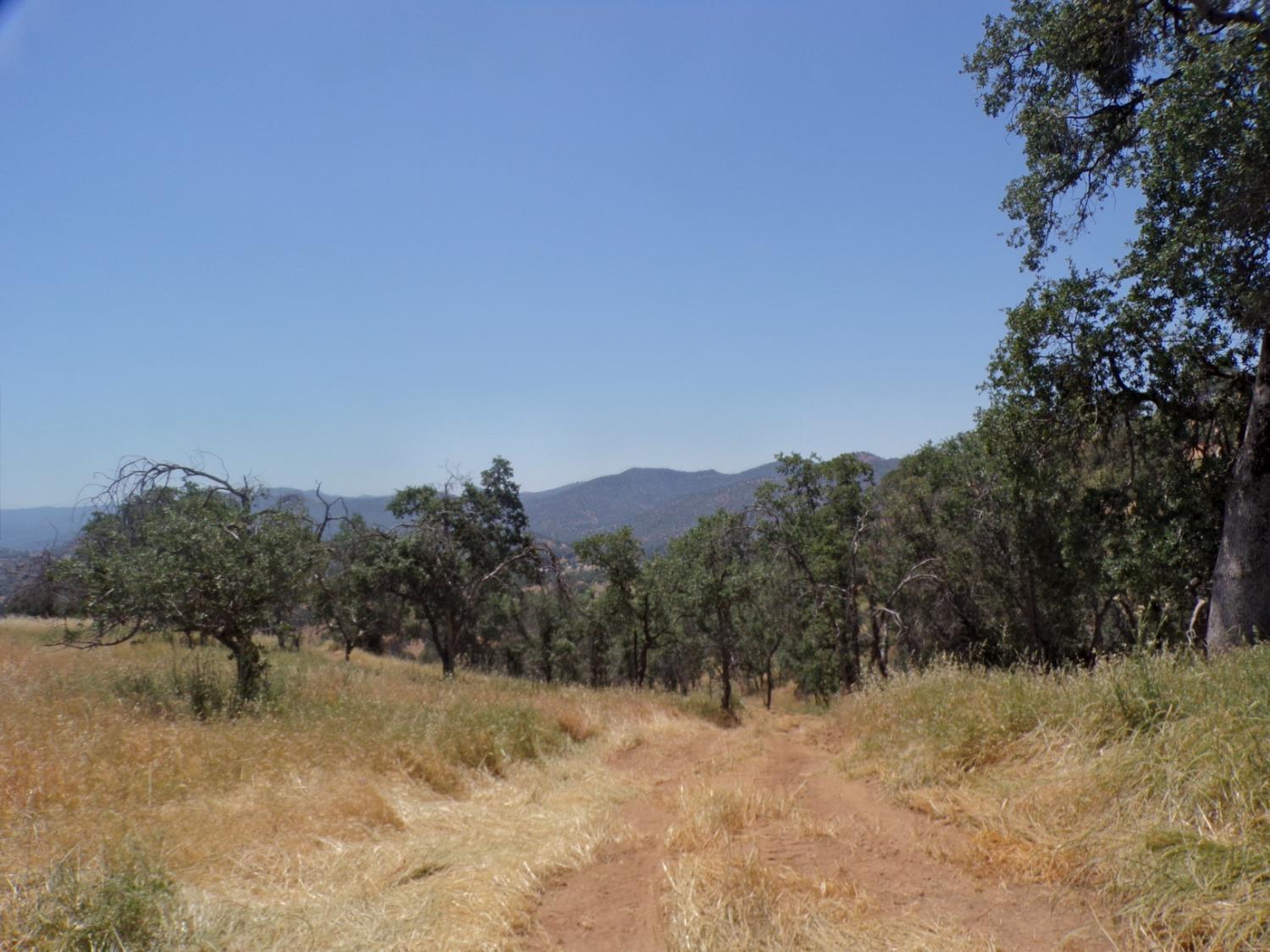0 Hopewell Road Squaw Valley, CA 93675 - Photo 13 of 16 Gallery Image 13