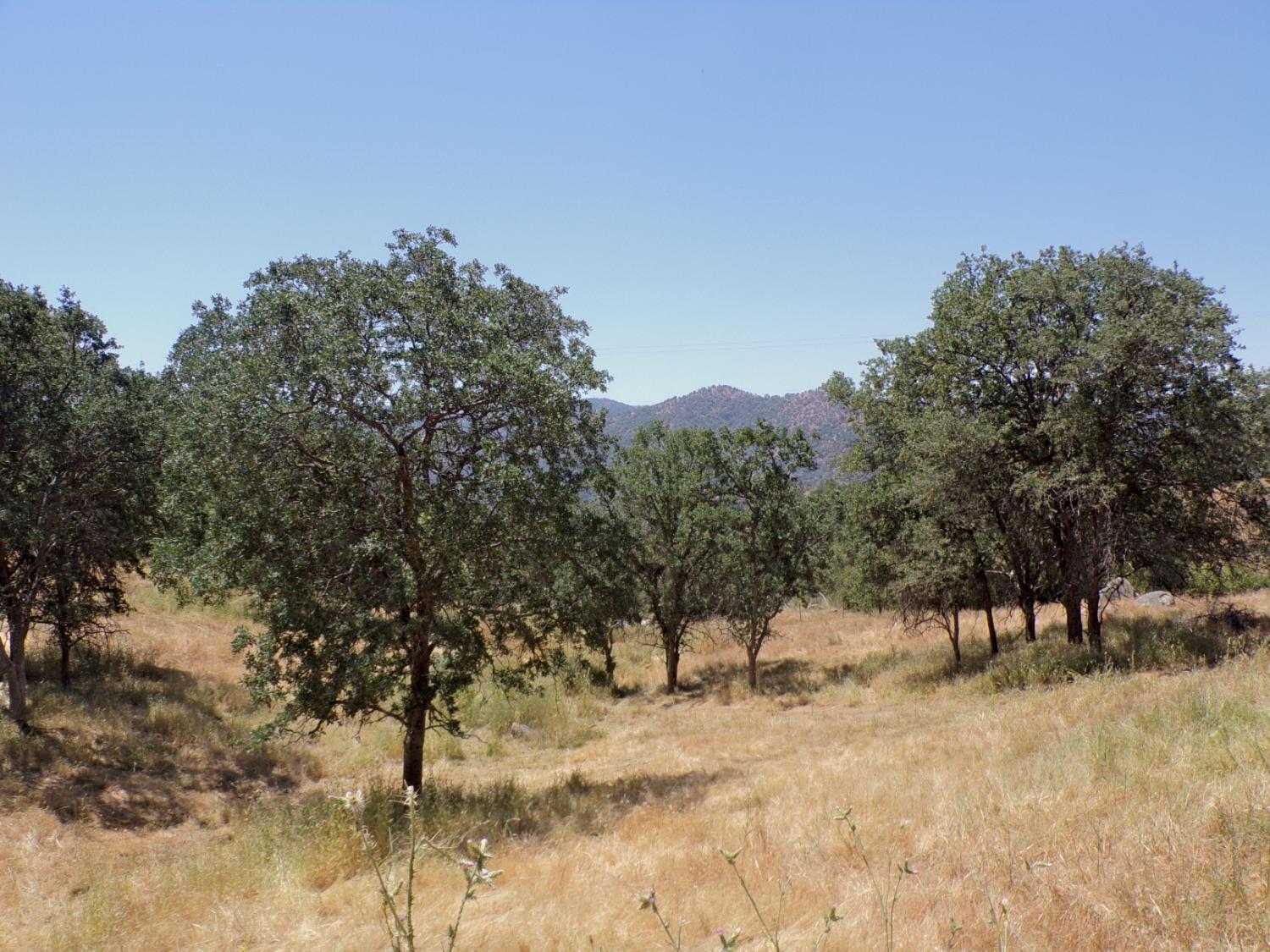 0 Hopewell Road Squaw Valley, CA 93675 - Photo 3 of 16 Gallery Image 3