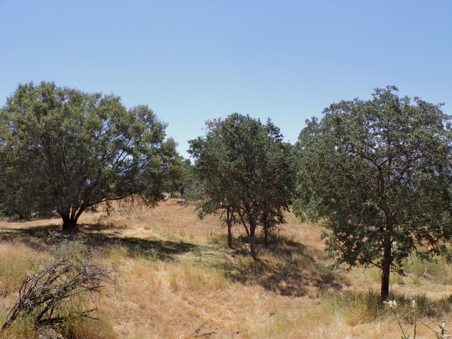 0 Hopewell Road Squaw Valley, CA 93675 - Photo 4 of 16 Gallery Image 4