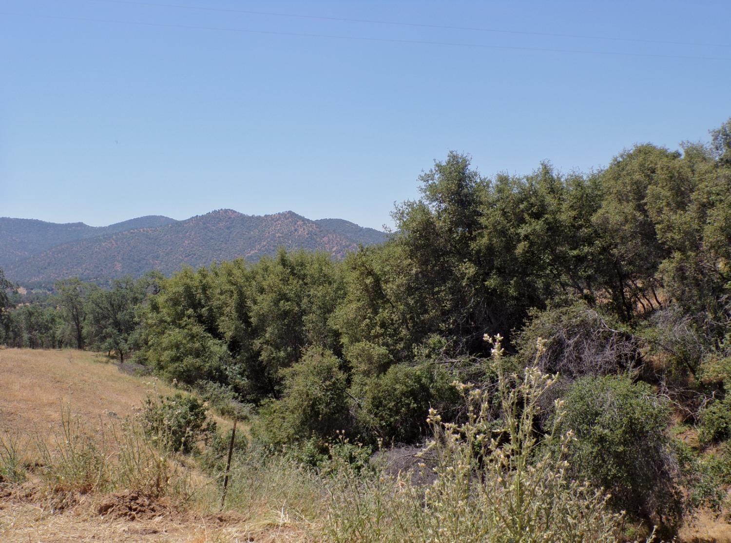 0 Hopewell Road Squaw Valley, CA 93675 - Photo 5 of 16 Gallery Image 5