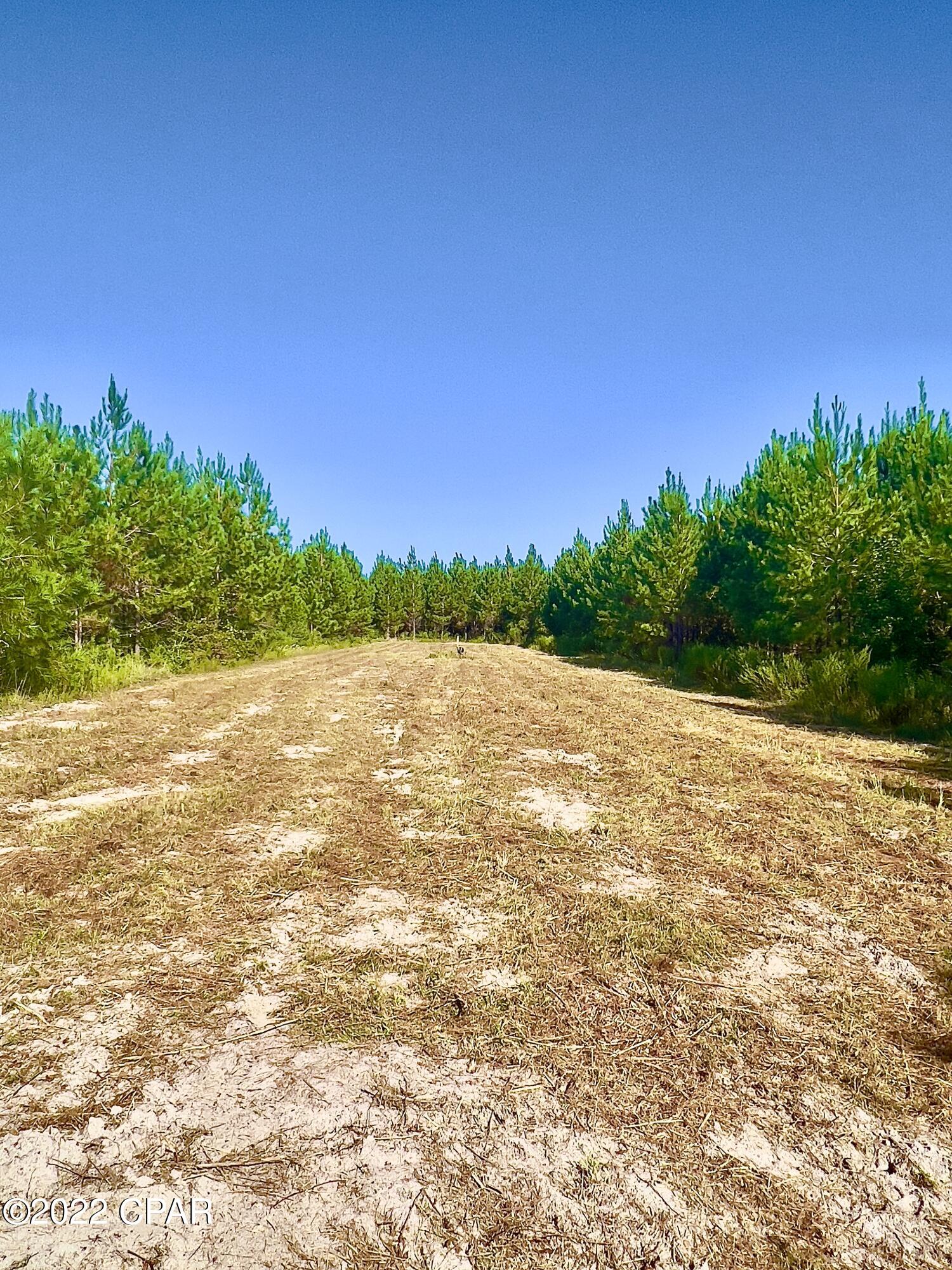 0 Cherry Road Grand Ridge, FL 32442 - Photo 10 of 17 Gallery Image 10