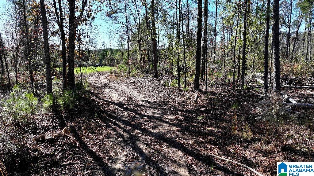 200 Kelly Creek Road Odenville, AL 35120 - Photo 37 of 47