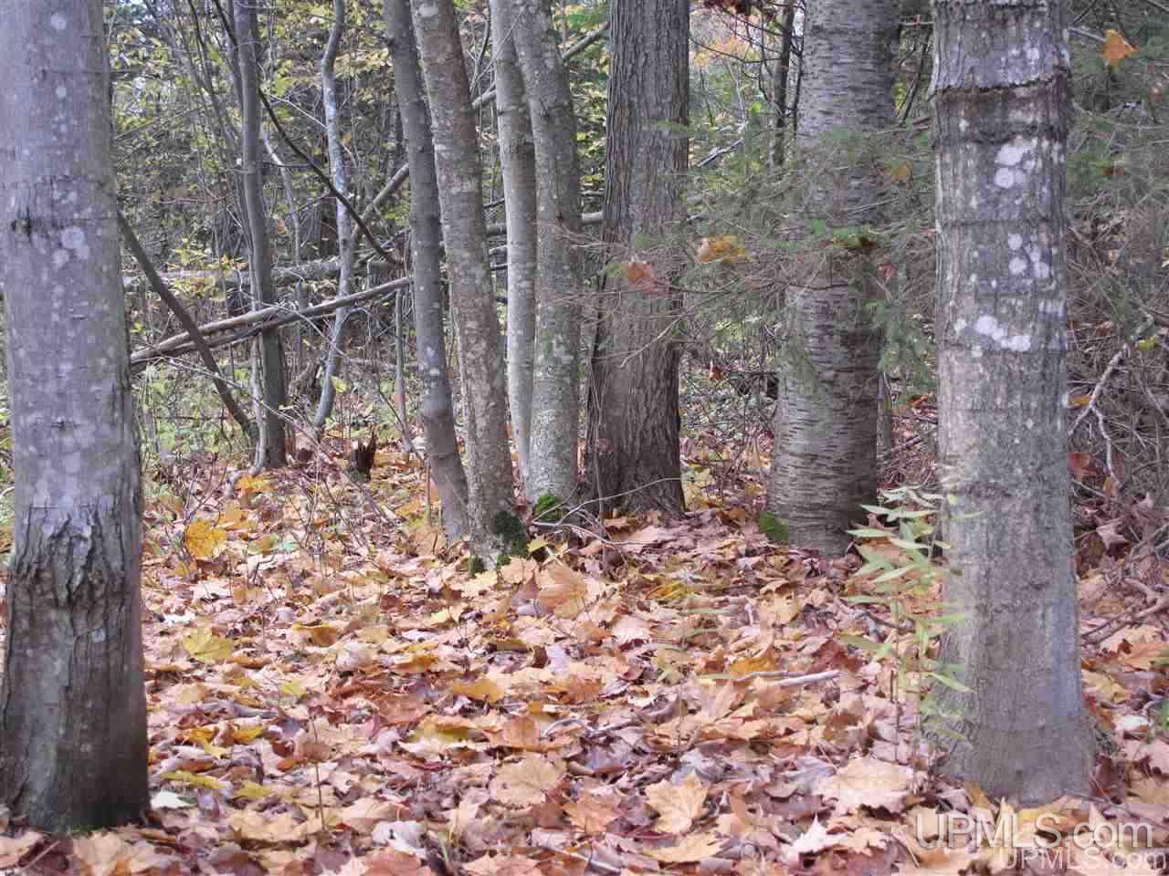 No # East No Road Grand Marais, MI 49839 - Photo 3 of 12
