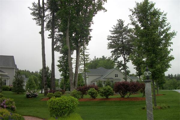 8 Sauta Farm Way, Unit 8 Hudson, MA 01749 - Photo 28 of 30 a view of outdoor space and yard