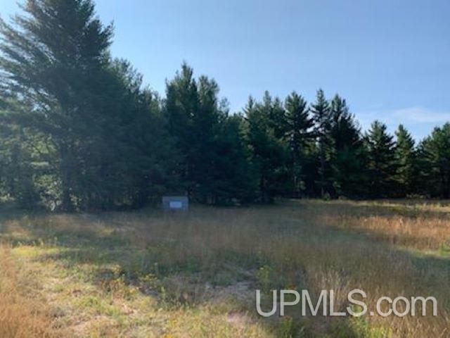13.75 Rd & M 5 Lane Escanaba, MI 49829 - Photo 3 of 12
