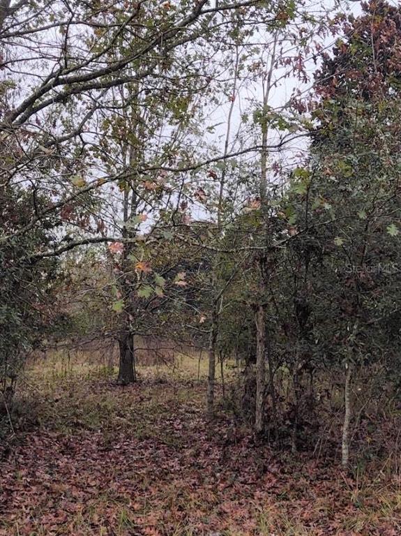 Tbd 109th Road O'Brien, FL 32071 - Photo 1 of 1 Gallery Image 1