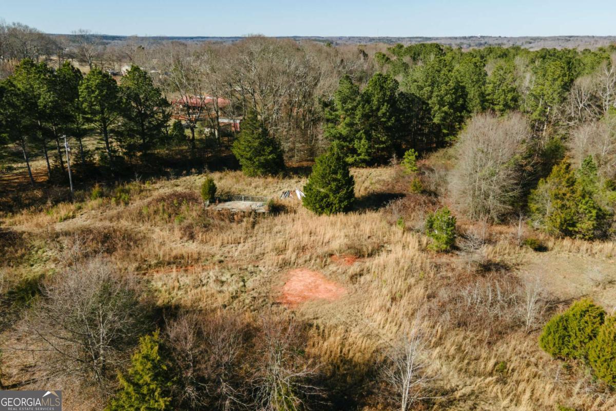 15 Shady Oaks Comer, GA 30629 - Photo 3 of 10 a view of a forest with a lake