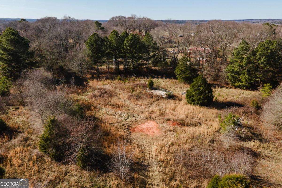 15 Shady Oaks Comer, GA 30629 - Photo 4 of 10 a view of a yard with a tree