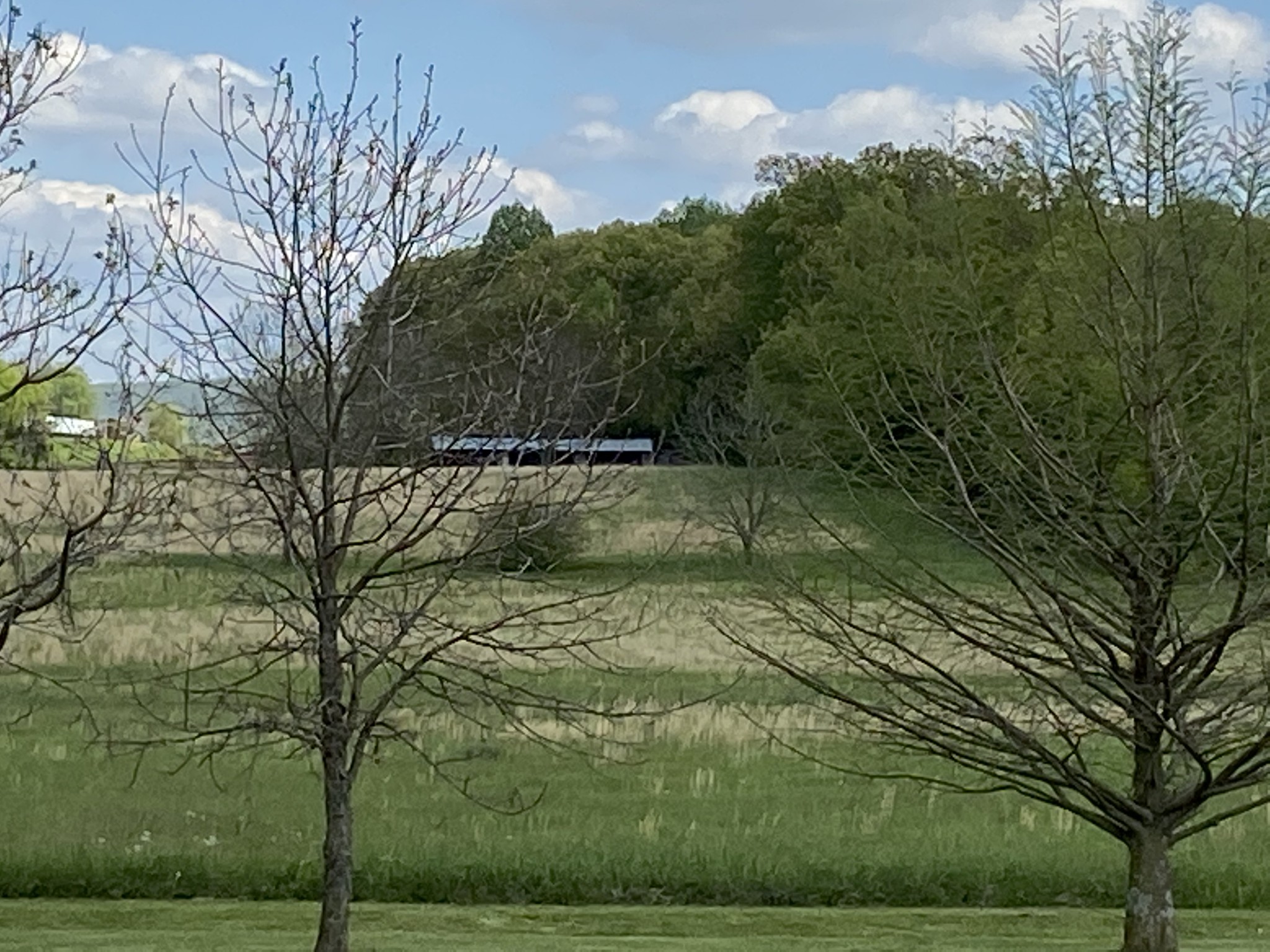 1370 Shelly Road Decherd, TN 37324 - Photo 13 of 44 a view of a yard
