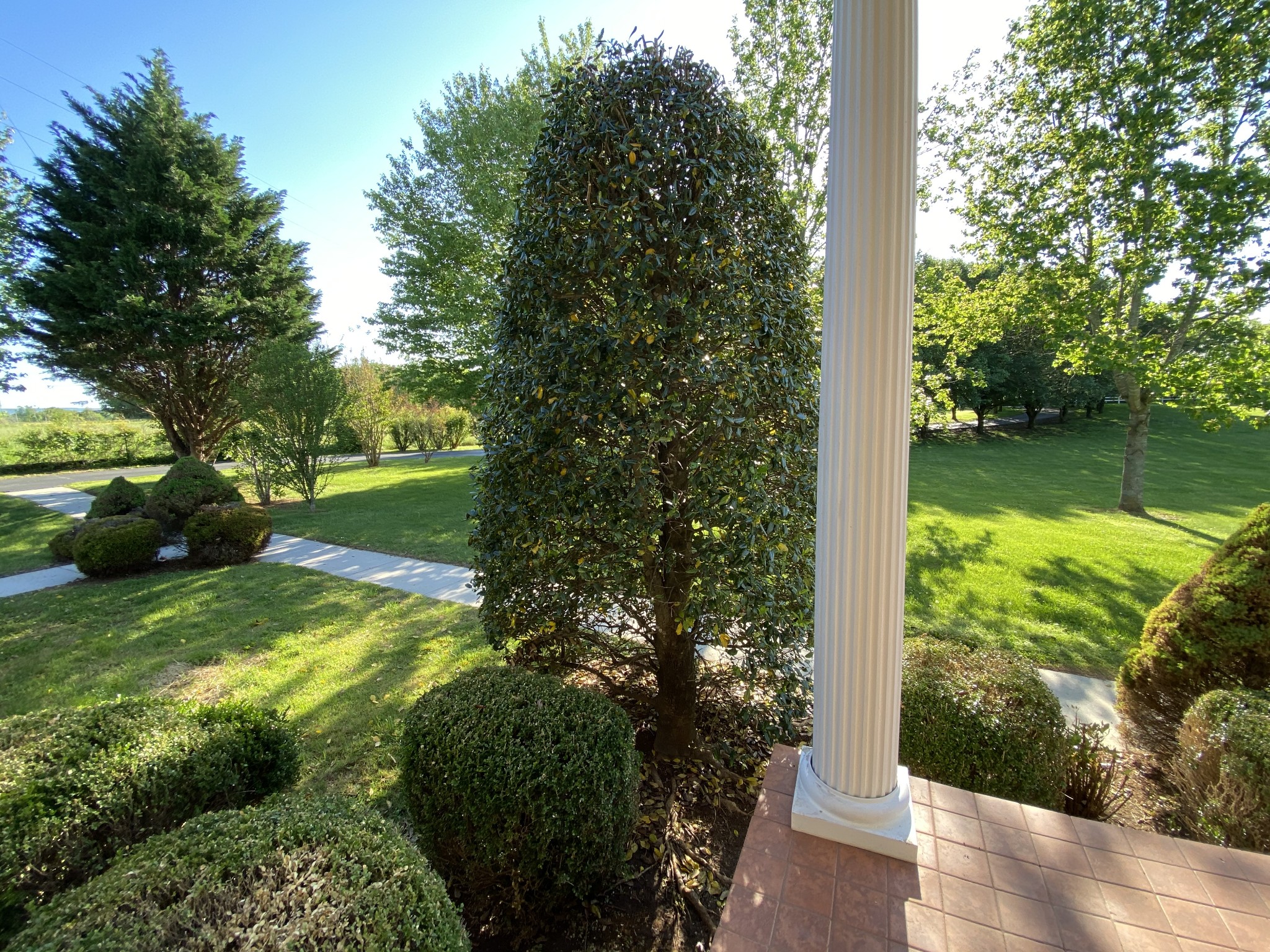 1370 Shelly Road Decherd, TN 37324 - Photo 32 of 44 a view of a garden with large trees