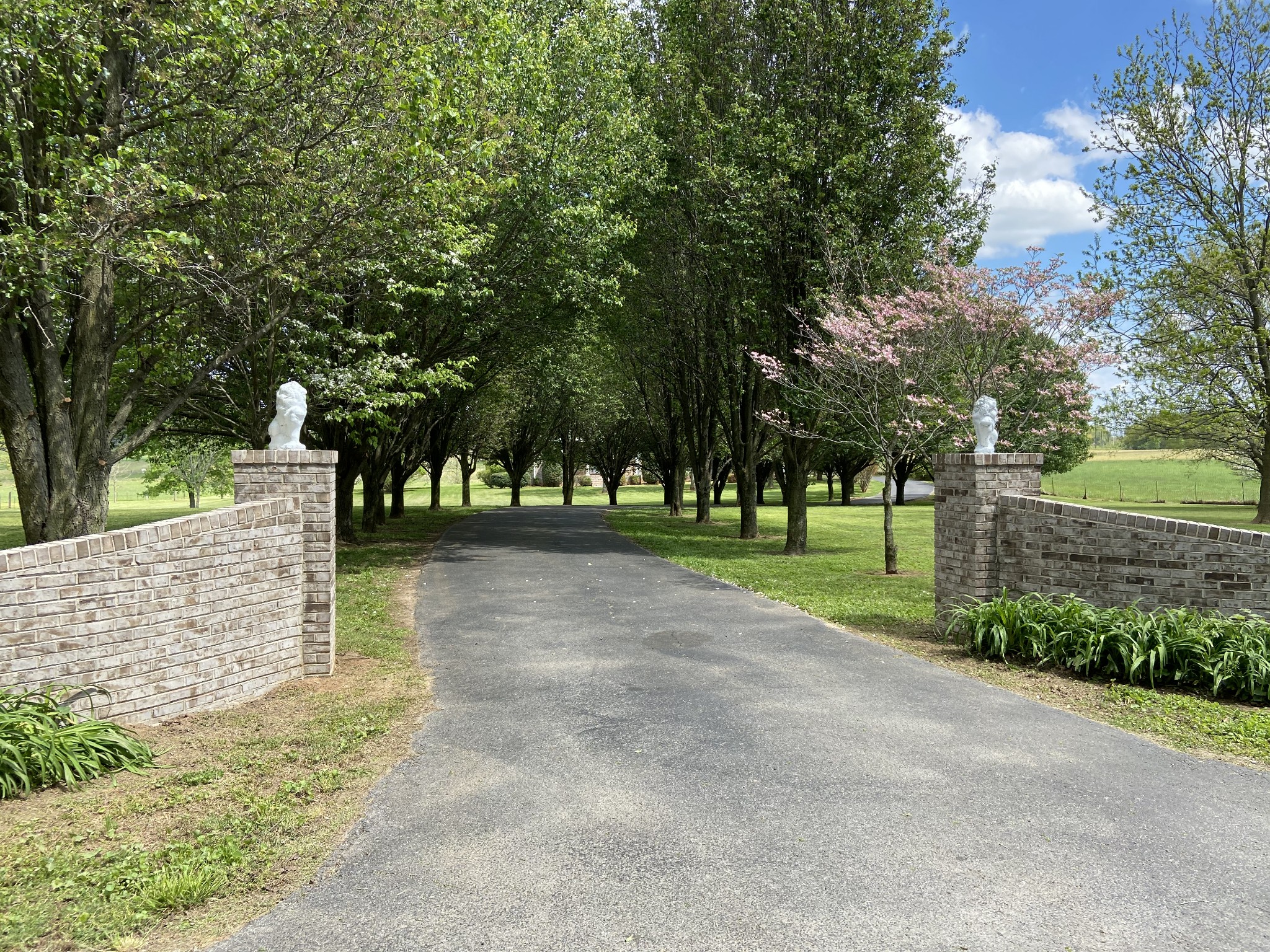 1370 Shelly Road Decherd, TN 37324 - Photo 5 of 44 a view of a park with tree s