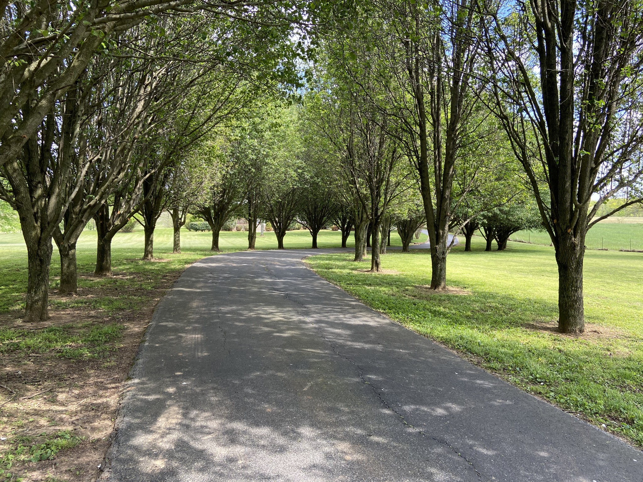 1370 Shelly Road Decherd, TN 37324 - Photo 6 of 44 a view of green field with trees