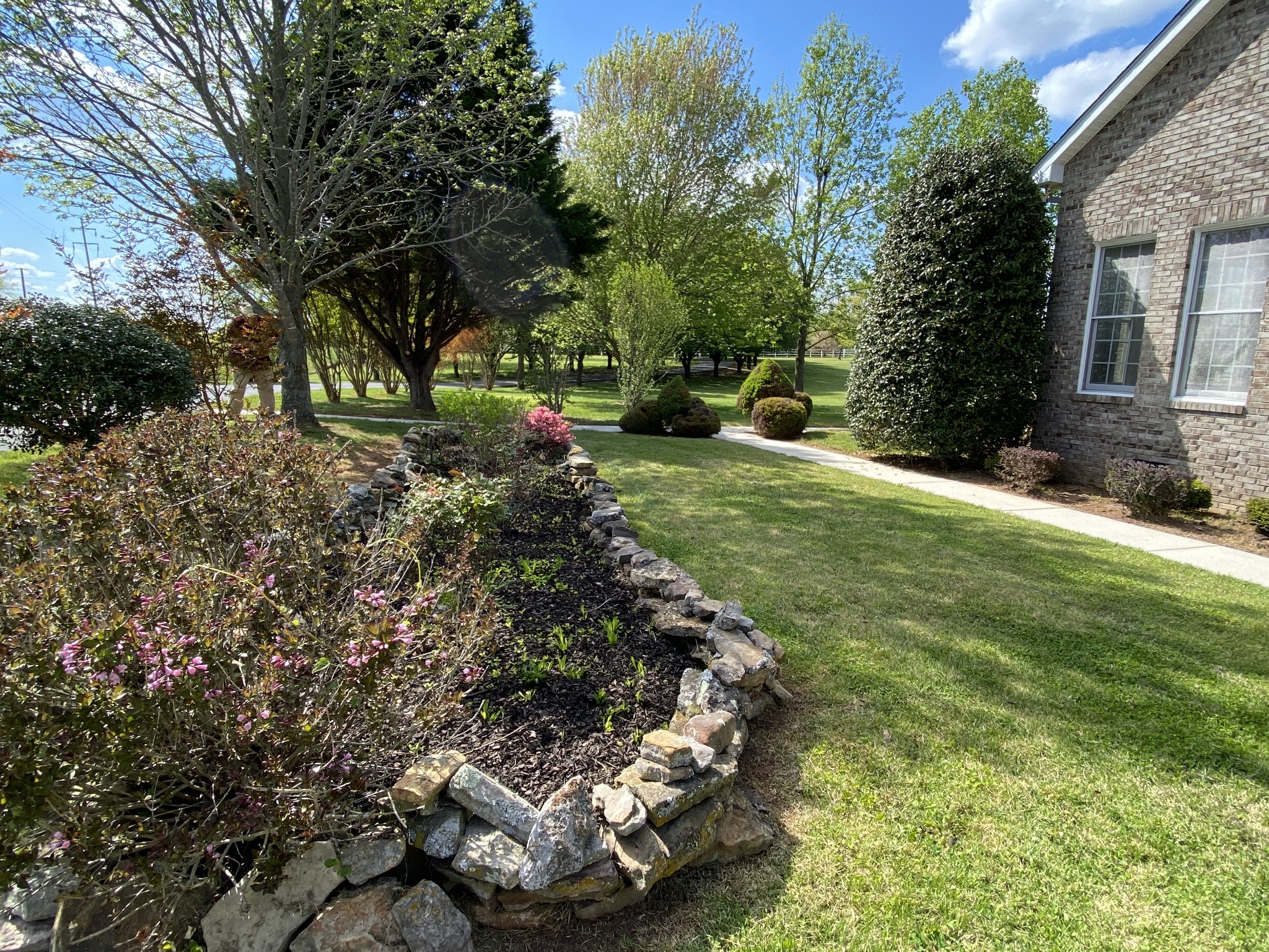1370 Shelly Road Decherd, TN 37324 - Photo 8 of 44 a view of a backyard with large trees