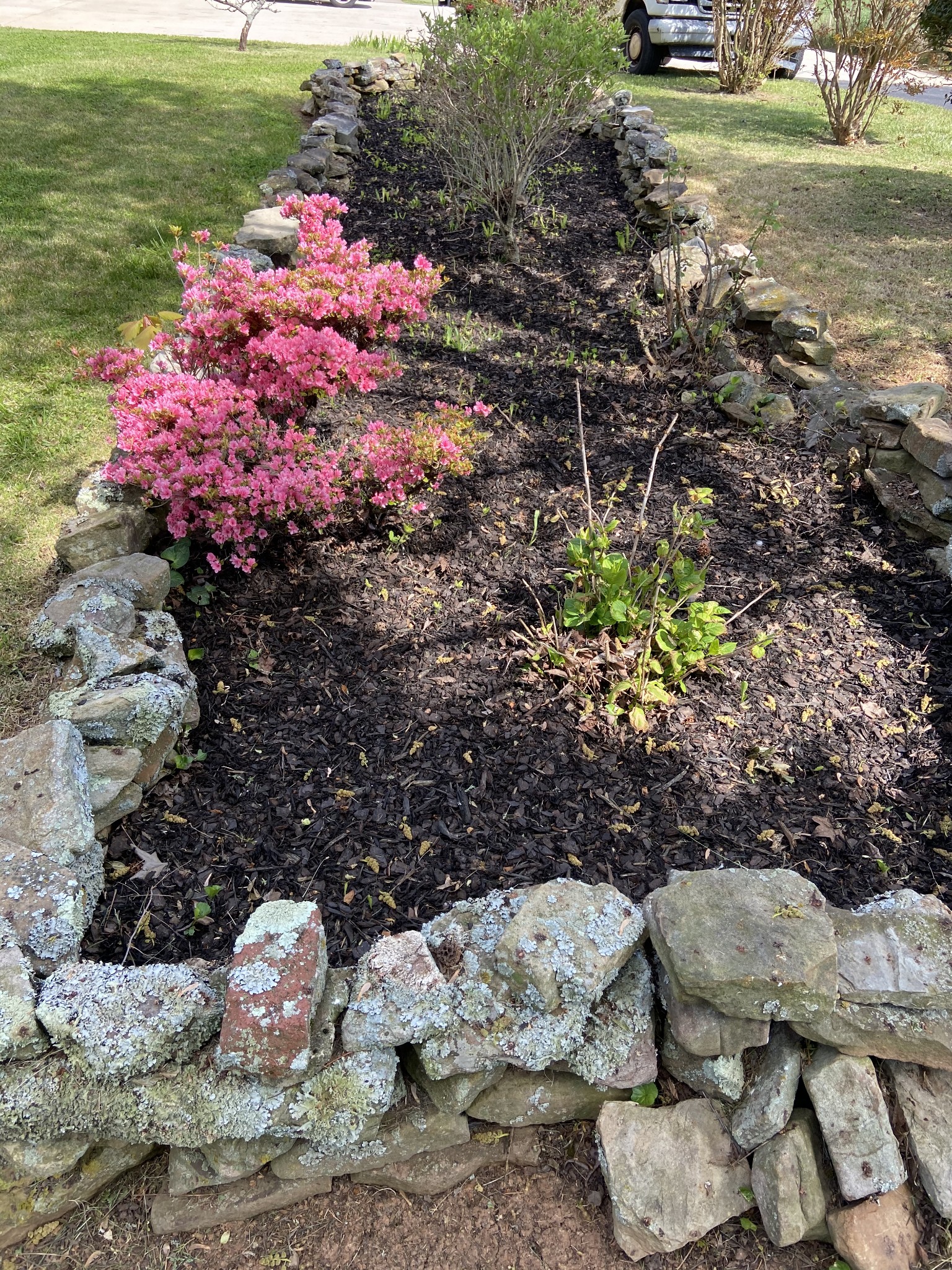 1370 Shelly Road Decherd, TN 37324 - Photo 9 of 44 a view of a backyard of the house