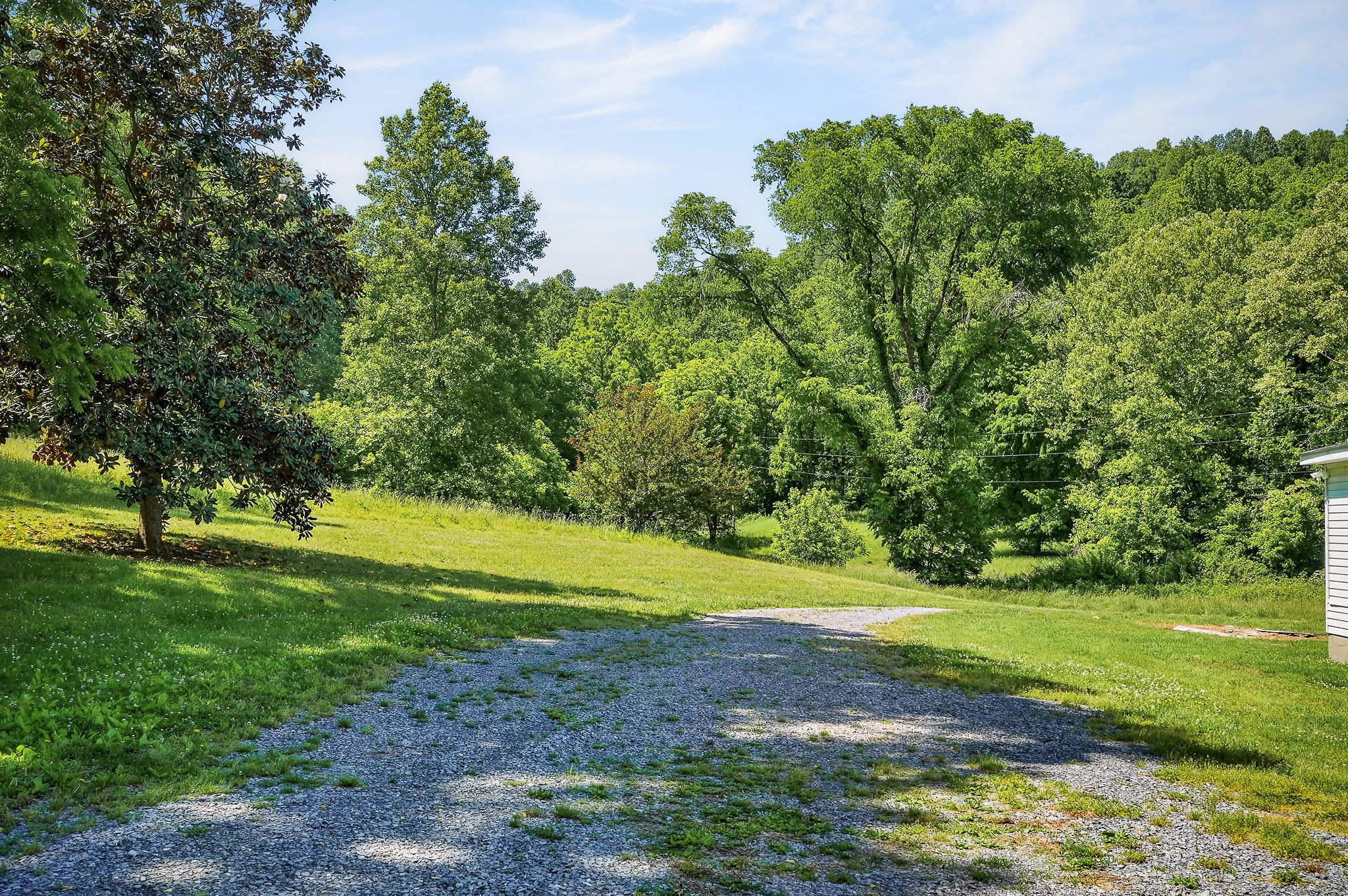 16130 Buffalo Valley Road Silver Point, TN 38582 - Photo 43 of 47 a view of a golf course with a yard