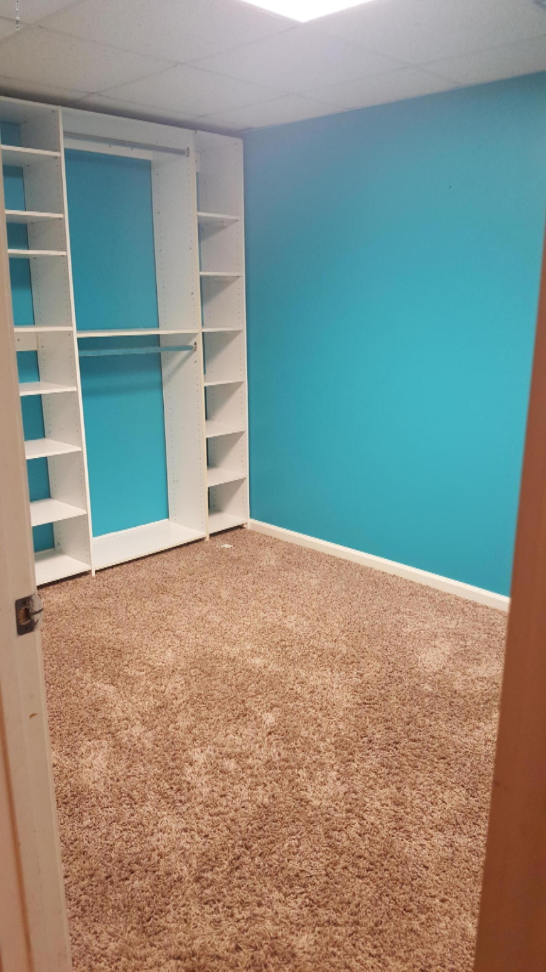 4115 Mt Olivet Road Kalamazoo, MI 49004 - Photo 26 of 32 Basement Room