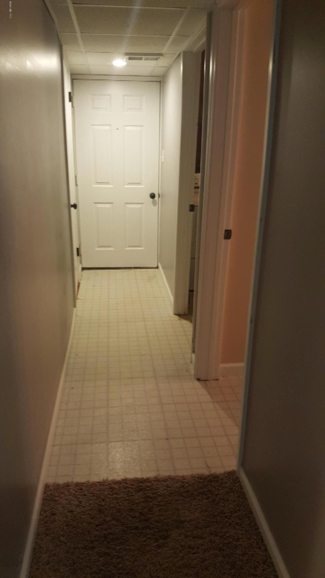 4115 Mt Olivet Road Kalamazoo, MI 49004 - Photo 27 of 32 Basement Hallway