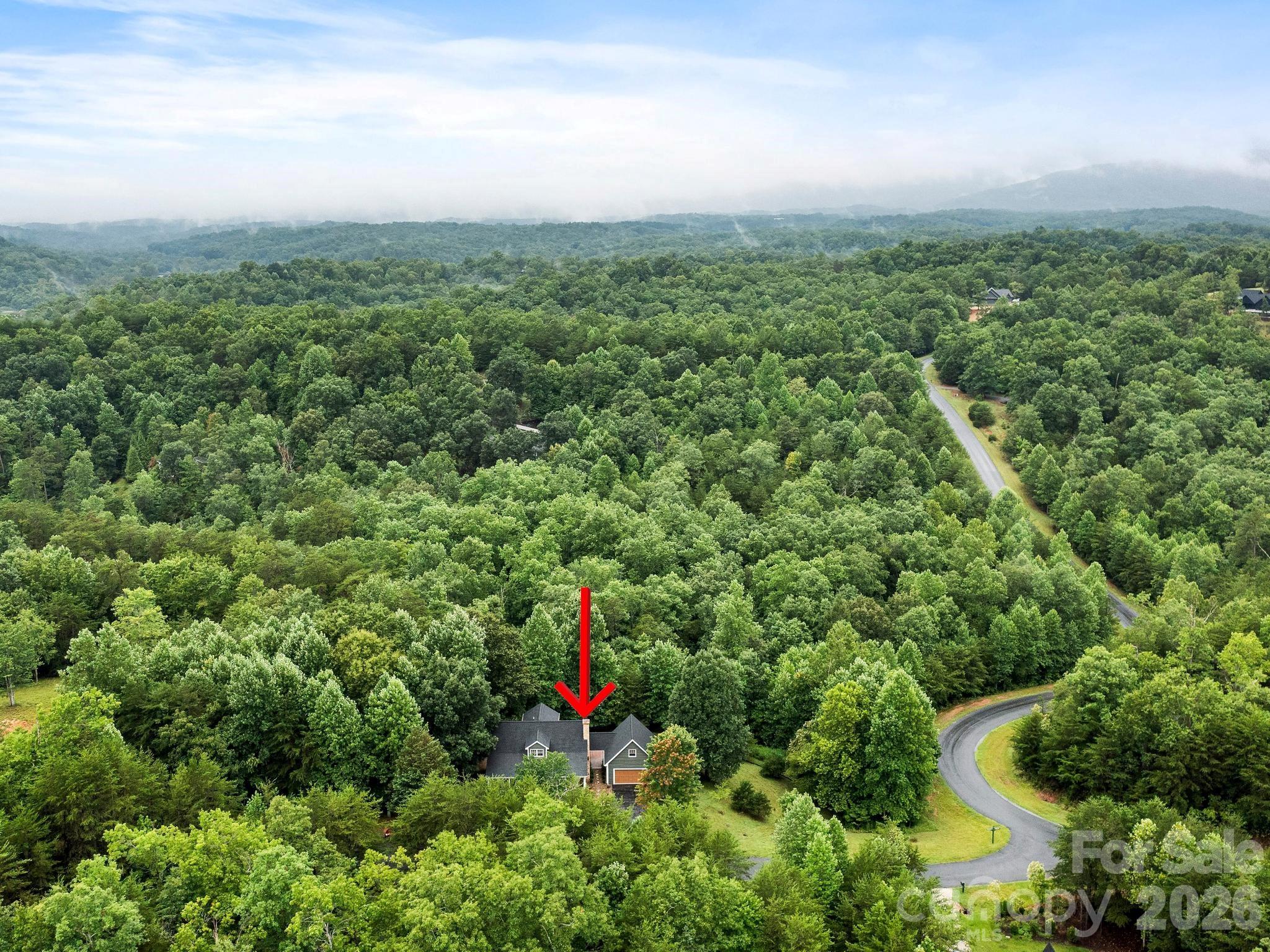 46 Indian Summer Lane Mill Spring, NC 28756 - Photo 25 of 30