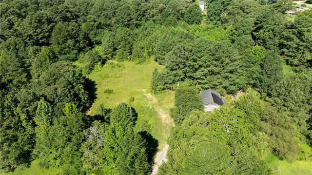 a plant view in yard