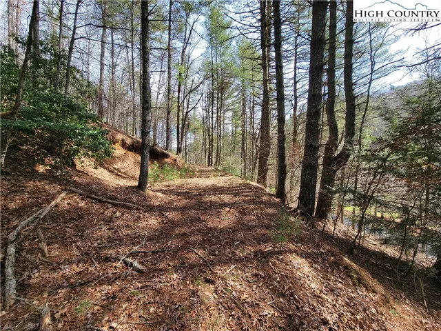a view of a yard with large tree