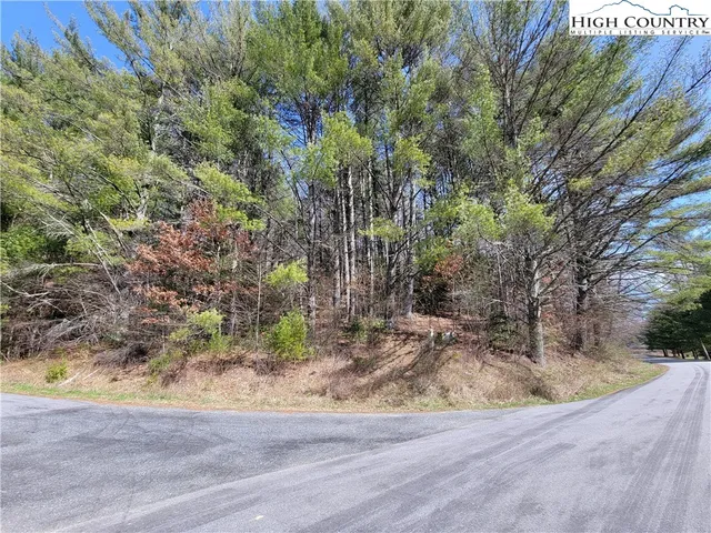 a view of a yard with plants and trees