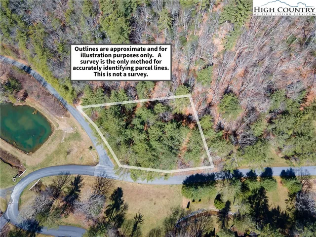 a view of a yard with plants