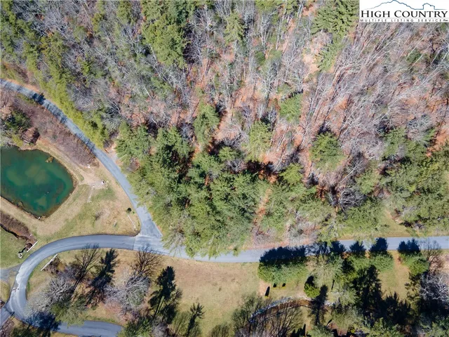 a view of a yard with plants