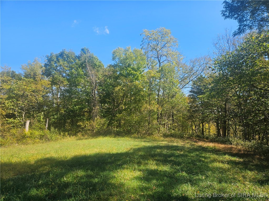 5300 North Scotts Ridge Road Madison, IN 47250 - Photo 3 of 5