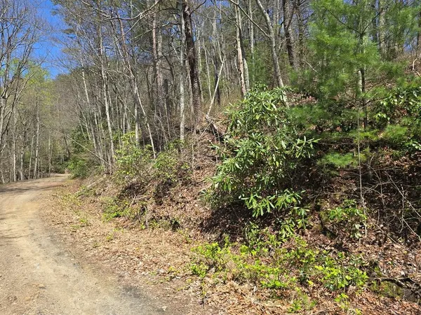 $99,777 | 1-2 Kimsey Mountain Highway, Turtletown, TN 37391