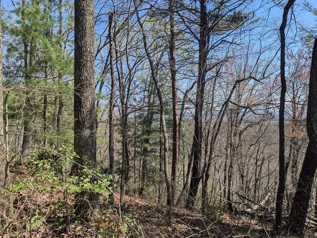 $99,777 | 1-2 Kimsey Mountain Highway, Turtletown, TN 37391